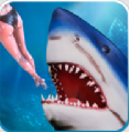 鯊魚模擬器手機版