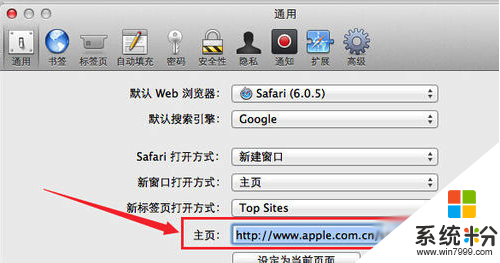 mac电脑浏览器主页怎么设置锁定，步骤5