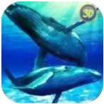 鲸鲨模拟器