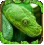 蟒蛇模拟器下载安装安卓最新版app