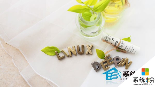 Linux系统格式化分区时提示Could not start /dev怎么解决？ Linux系统格式化分区时提示Could not start /dev如何处理？