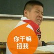 不要这木二