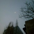 暗夜丶神月