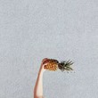 面皮坐庄丶