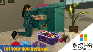 宠物猫狗之家游戏免费下载