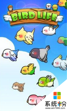 鸟类生活手游下载_鸟类生活游戏免费下载v1.6.13