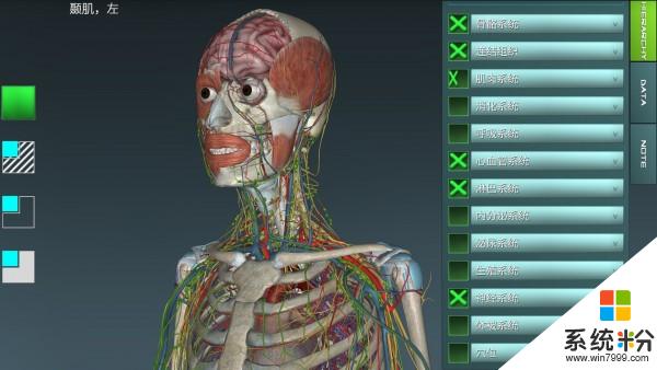 人體解剖學圖集app破解版下載