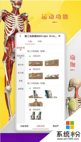 3dbody解剖学免费下载