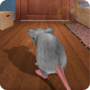 老鼠在家模拟器3d版