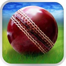3D板球世界杯手游下载安卓app最新版
