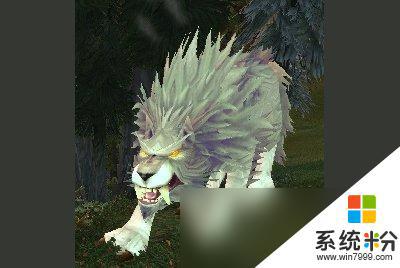 魔獸世界wlk狼在哪抓