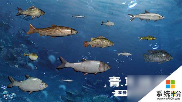 天天釣魚刷龍玉技巧分享