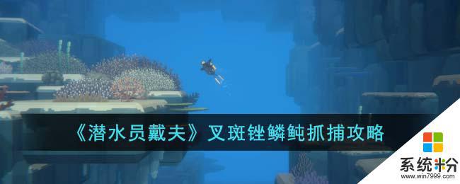 如何在遊戲《潛水員戴夫》中抓捕叉斑銼鱗魨