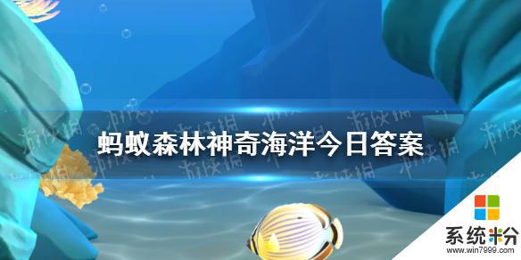 神奇海洋7月17日题目答案是什么