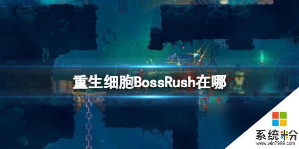 重生细胞如何解锁BossRush模式