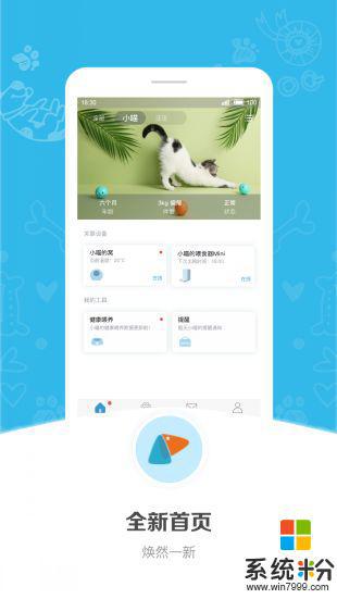 小佩宠物安卓版官网app下载