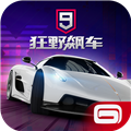  Crazy and wild racing Android version