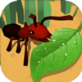 蚂蚁进化3d修改器