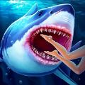 鯊魚狩獵模擬器下載安卓app最新版
