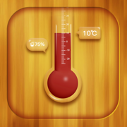 温度计测量仪