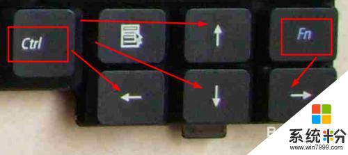 电脑视频暂停快捷键是哪个 如何使用笔记本Fn功能键控制视频播放器