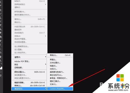 ps的camera raw打不開 PS如何打開Camera RAW