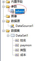 微软BI SSRS渐悟之动态SQL(9)