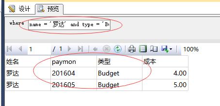 微软BI SSRS渐悟之动态SQL(10)