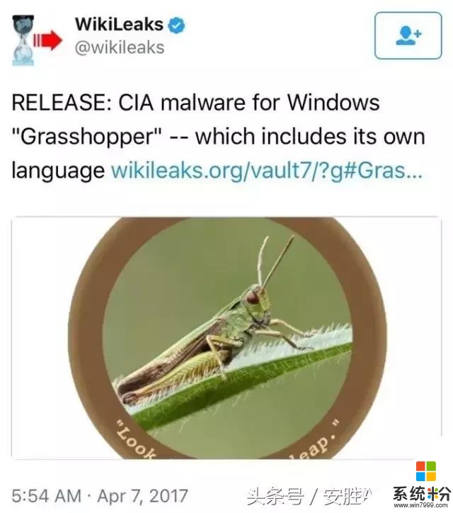 维基解密第三弹：CIA蝗虫病毒来袭 微软Windows中枪(3)