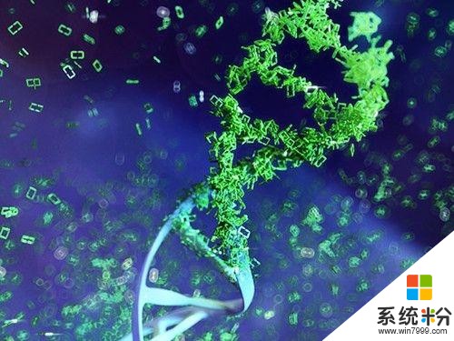 為了降低成本？微軟為研究再次購買1000萬分子DNA(2)