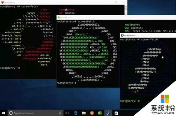 微软大招！三大Linux系统登陆Windows 10：直接安装运行(1)