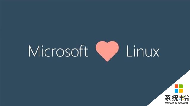 敞开心胸！微软应用商店将上架3款最受欢迎的Linux系统(4)