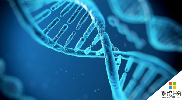 你可能还没听过DNA存储技术, 但微软已经打算三年内将其商用了
