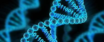 微软计划未来三年内实现DNA存储数据的计划(2)