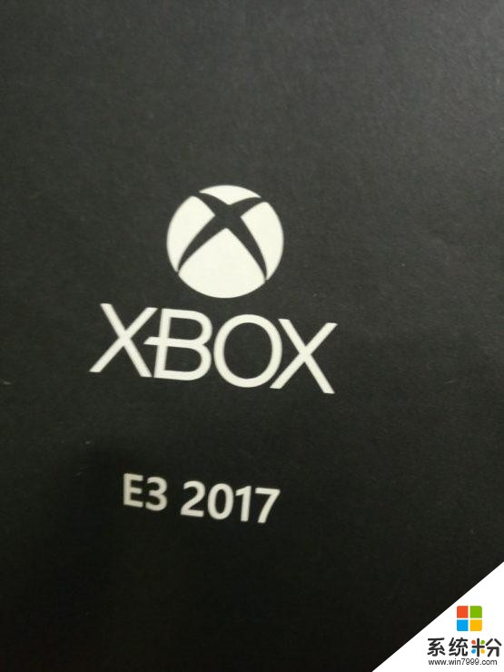 微软对外发送E3宣传材料：竟然包含一只真的蝎子(2)