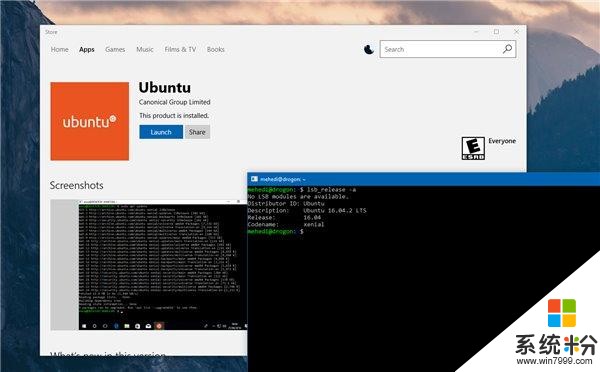 大喜！Ubuntu“系统”正式登陆Win10应用商店