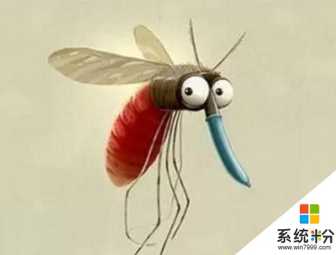 滅蚊大戰迫在眉睫 穀歌比爾蓋茨微軟出新招(2)