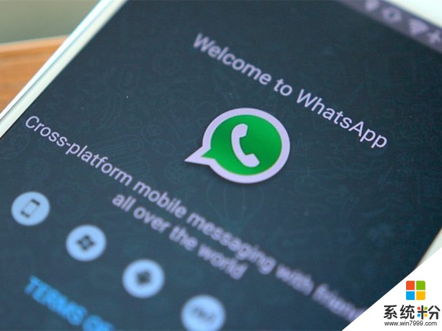 Whatsapp正打造商业团队：盼快速创收(1)