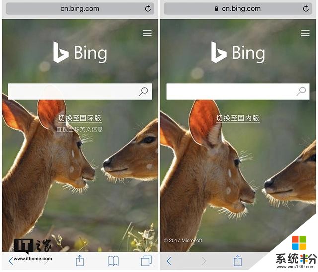 微软必应（Bing）搜索国际版悄然上线(3)