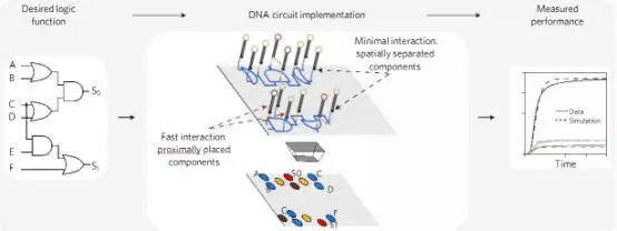 微软创造出全新DNA生物计算机, 逻辑与生命实现完美交融(4)
