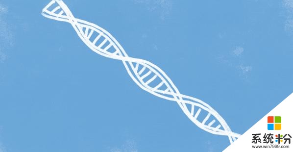 今日科技：微软创造出全新DNA生物计算机，编辑人类早期胚胎DNA安全有效！(1)