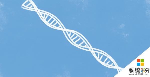 今日科技：微軟創造出全新DNA生物計算機，編輯人類早期胚胎DNA安全有效！(1)