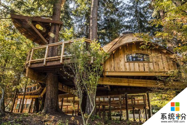 建在树上的办公室, 微软为员工在森林中建造“超级树屋”(1)