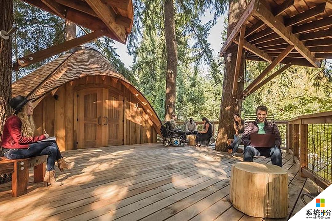 建在树上的办公室, 微软为员工在森林中建造“超级树屋”(3)