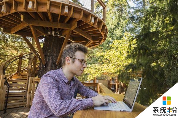 建在树上的办公室, 微软为员工在森林中建造“超级树屋”(4)