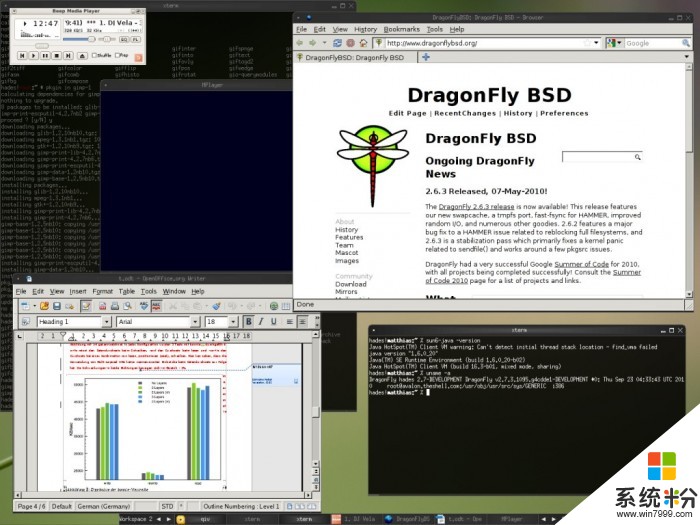 DragonFly BSD 5.0发布：支持下一代HAMMER2文件系统