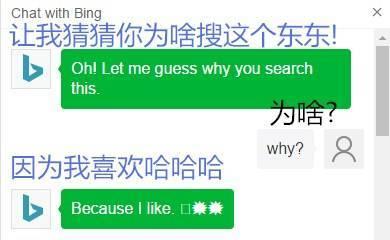 Pulp English 3: 当你呵呵微软小冰后 When you heheD Bing