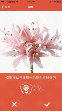 微软这款深度学习技术APP特供中文用户，不联网也能识别花朵(4)