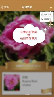微软这款深度学习技术APP特供中文用户，不联网也能识别花朵(5)