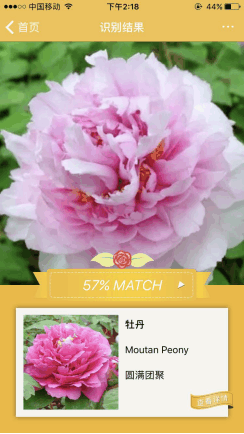 微軟這款深度學習技術APP特供中文用戶, 不聯網就可以識別花朵(3)